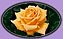 Cut Flowers