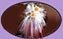 Wedding Boquets